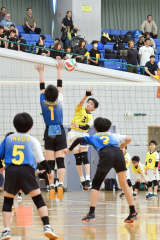 稲田プリンス男子、下音更ウィングス女子Ｖ、混合は豊頃ランバーズ　全日本小学生バレー帯広地区予選 4
