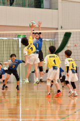 稲田プリンス男子、下音更ウィングス女子Ｖ、混合は豊頃ランバーズ　全日本小学生バレー帯広地区予選 6