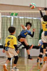 稲田プリンス男子、下音更ウィングス女子Ｖ、混合は豊頃ランバーズ　全日本小学生バレー帯広地区予選