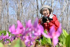 カタクリの花に話賭けるような優しいまなざしで撮影する嶋谷暁子さん（金野和彦撮影）
