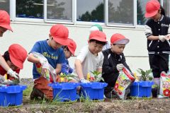 野菜の苗を丁寧に植えていく児童たち