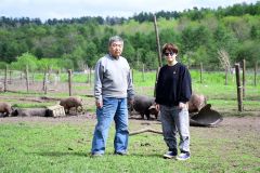 遊ぶたを放牧する秦代表（左）と牧場長の谷澤ちひろさん