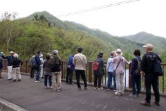 札内川園地で日高山脈を眺めるツアー参加者（中札内村観光協会提供）