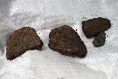 今回の調査で発掘された土器など（須貝拓也撮影）