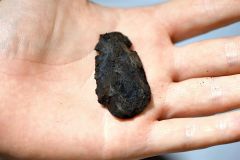 今回の調査で発掘された石器（須貝拓也撮影）