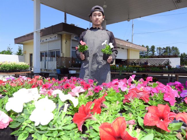 「花と野菜のスタンド」２年ぶりに営業　浦幌