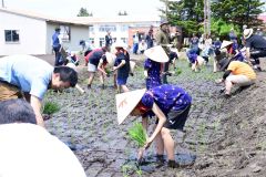 田植えに励む児童と地域住民ら