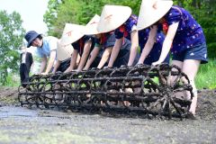 格子状の枠を回し、田植えの目印を付ける児童ら