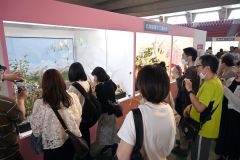 柳月の職人が製作した工芸菓子「北海道物語」を眺める来場者（３０日午前１１時ごろ）