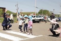 横断歩道の渡り方を学ぶ園児