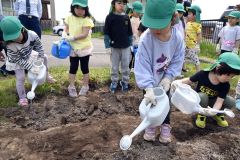 ヒマワリの種に水をまく園児たち