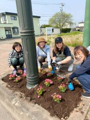 士幌町商工会女性部が植栽　ベゴニア４００株