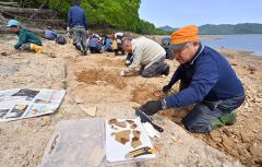 １００万年前の地層から化石ごろごろ　糠平湖畔で発掘イベント開催 10