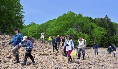 １００万年前の地層から化石ごろごろ　糠平湖畔で発掘イベント開催 16