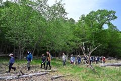 １００万年前の地層から化石ごろごろ　糠平湖畔で発掘イベント開催 17