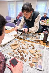 １００万年前の地層から化石ごろごろ　糠平湖畔で発掘イベント開催 3