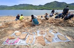 １００万年前の地層から化石ごろごろ　糠平湖畔で発掘イベント開催 6