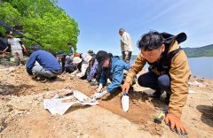 １００万年前の地層から化石ごろごろ　糠平湖畔で発掘イベント開催 7