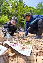 １００万年前の地層から化石ごろごろ　糠平湖畔で発掘イベント開催 8