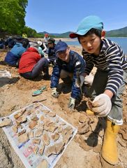 １００万年前の地層から化石ごろごろ　糠平湖畔で発掘イベント開催