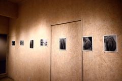 （画面左から）人気のナナなどの姿をおさえた作品