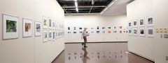 ４年ぶり帯広で開催　写真道展巡回展　１０日まで市民ギャラリー 4