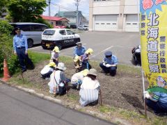 ヒマワリの種を植える園児と署員（同署提供）