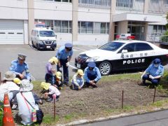 ヒマワリの種を植える園児と署員（同署提供）
