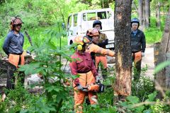 幕別で里山カレッジ　１年かけて自伐型林業学ぶ