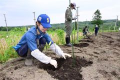 農場でブドウの苗を植える参加者