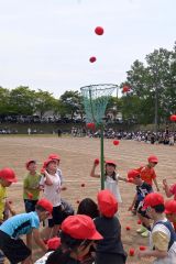 かごの中をよく狙ってそれっ入れ！（７日、音更鈴蘭、内形勝也撮影）