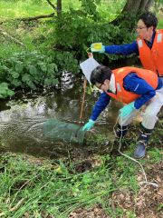 外来種ウチダザリガニを駆除 萩原建設工業 5