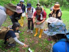 園地内の花や樹木を観察する参加者