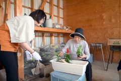 花苗の植栽に取り組む石浦さん