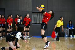 【女子決勝トーナメント２回戦・帯三条―札幌山の手】第２セット、ボールをひろいコート内へトスで返す、帯三条の福田栞菜（金野和彦撮影）