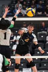【女子決勝トーナメント１回戦・帯三条―旭川明成】第１セット、スパイクを決める帯三条の西山さつき（金野和彦撮影）