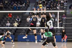 【女子決勝トーナメント１回戦・帯三条―旭川明成】第１セット、ブロックに飛ぶ帯三条の森川晴香（黑色ユニホーム、左（１１））と西山さつき（同右、（２））＝金野和彦撮影
