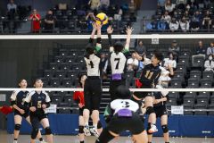 【女子決勝トーナメント１回戦・帯三条―旭川明成】第１セット、スパイクを打つ帯三条の森川晴香（栗色ユニホーム（１１））＝金野和彦撮影