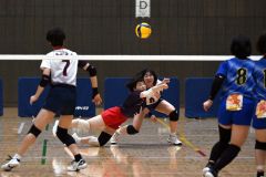 【女子決勝トーナメント２回戦・帯大谷―札幌東商】第３セット、飛び込んでボールをひろう帯大谷の野口彩乃
主将（中央手前）＝金野和彦撮影