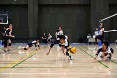 【女子決勝トーナメント２回戦・帯大谷―札幌東商】第１セット、ボールをひろいに追う、帯大谷の上田有梨沙（手前中央）と山形穂奈美（右手前）＝金野和彦撮影