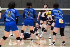 【女子決勝トーナメント２回戦・帯大谷―札幌東商】第１セット、帯大谷の山形穂奈美（白黒ユニホーム、手前）が食らい付いてボールをひろう（金野和彦撮影）