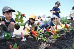 街路を花できれいに　園児ら植樹　帯広市フラワー通り整備事業 2