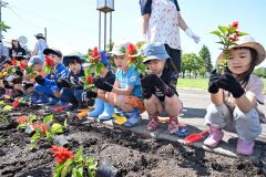 街路を花できれいに　園児ら植樹　帯広市フラワー通り整備事業 3