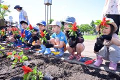 街路を花できれいに　園児ら植樹　帯広市フラワー通り整備事業 4