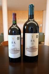 「清見」発売５０周年記念　マグナムとダブルマグナム発売 2