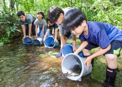 ヤマメ稚魚２万匹放流　広尾「広流クラブ」