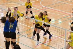 帯広柏林初Ｖ　鳥彦・彦左衛門杯ママさんバレー大会 6