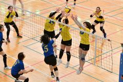 帯広柏林初Ｖ　鳥彦・彦左衛門杯ママさんバレー大会 8
