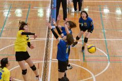 帯広柏林初Ｖ　鳥彦・彦左衛門杯ママさんバレー大会