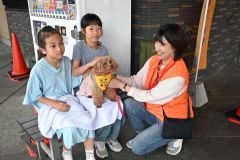 セラピー犬と触れ合い　やよい乃湯でイベント